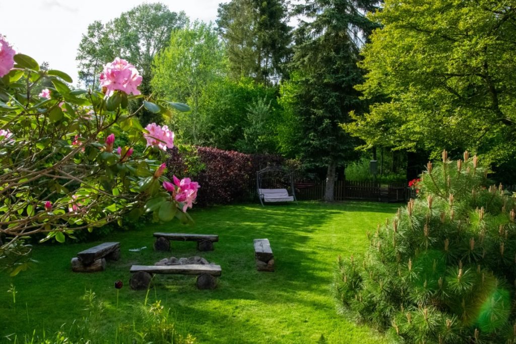 Pflegeleichter Garten